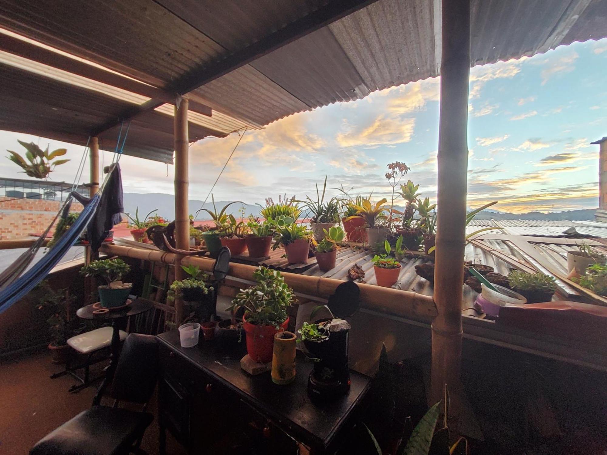 Hostal Musica Y Arte San Agustín Eksteriør bilde