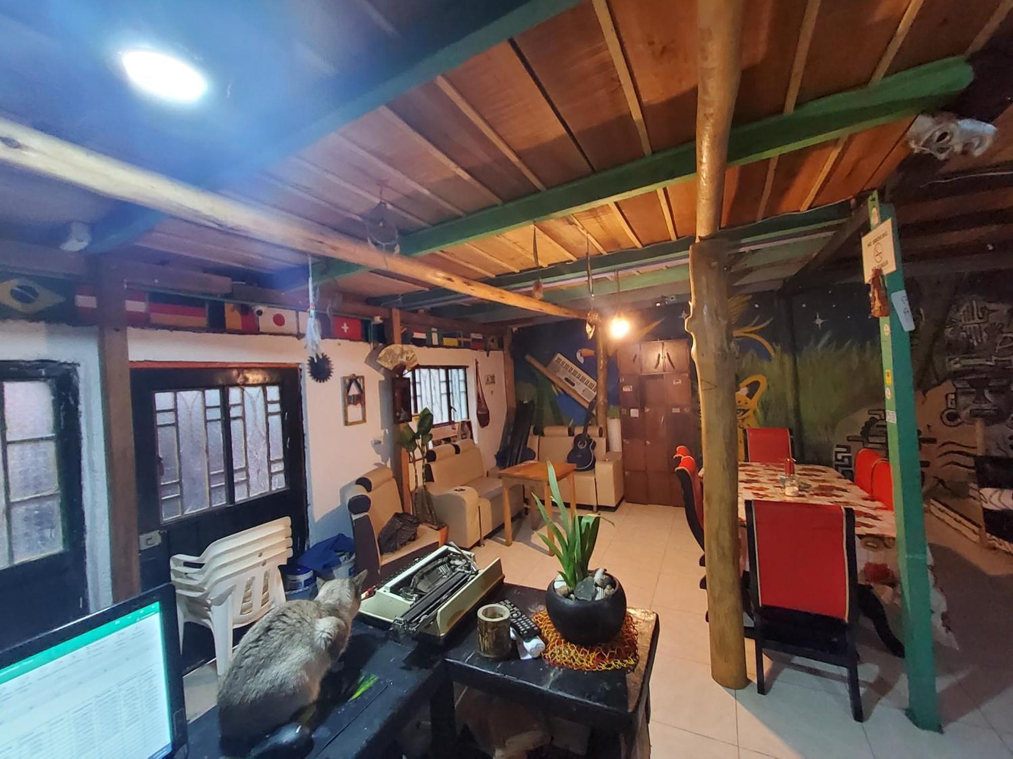 Hostal Musica Y Arte San Agustín Eksteriør bilde